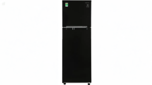Tủ lạnh Samsung Inverter 256 lít RT25M4032BU/SV