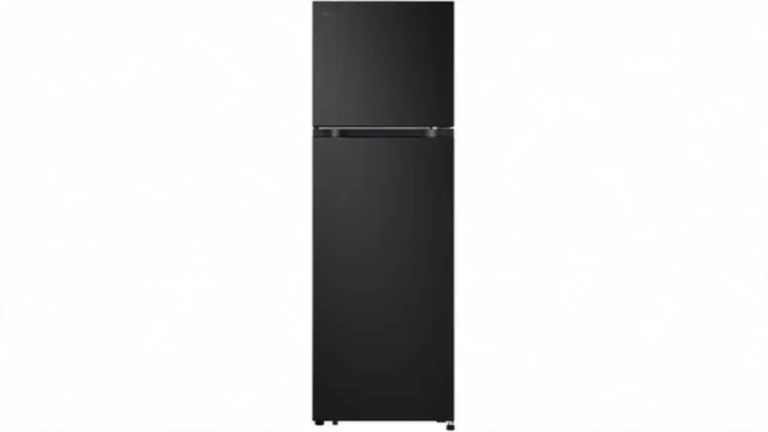 Tủ lạnh LG Inverter 266 lít LTB26BLM
