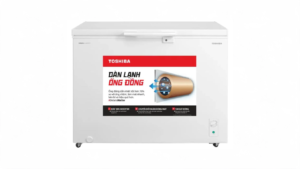 Tủ đông Toshiba Inverter 293 lít GR-RC390CM-PMV(01)