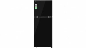 Tủ lạnh LG Inverter 217 lít T21BG