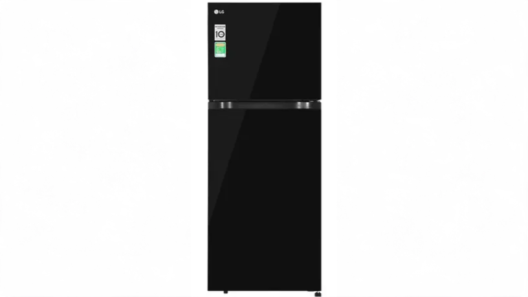 Tủ lạnh LG Inverter 217 lít T21BG