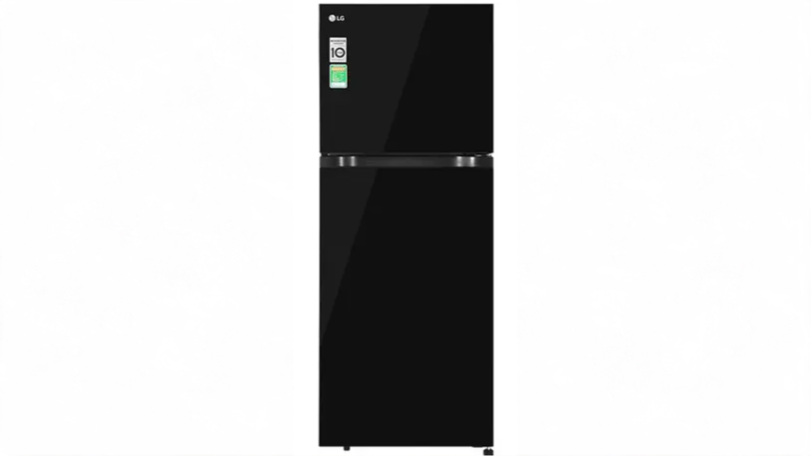 Tủ lạnh LG Inverter 217 lít T21BG