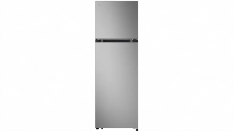 Tủ lạnh LG Inverter 266 lít LTB26SVM