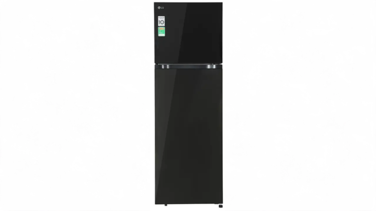 Tủ lạnh LG Inverter 266 lít T26BG