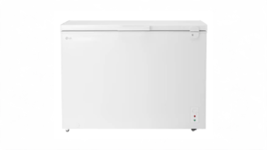 Tủ đông LG Inverter 291 lít C30WH