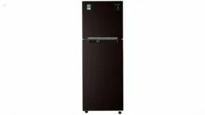 Tủ lạnh Samsung Inverter 236 lít RT22M4032BY/SV