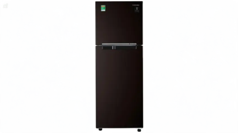 Tủ lạnh Samsung Inverter 236 lít RT22M4032BY/SV