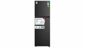 Tủ lạnh Toshiba Inverter 271 lít GR-RT349WE-PMV(68)