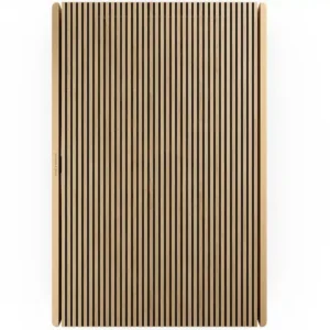 B&O Loa Bluetooth Beosound Level Gold